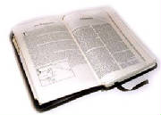 bible001.jpg
